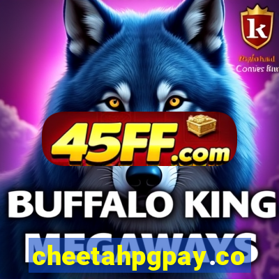 cheetahpgpay.com