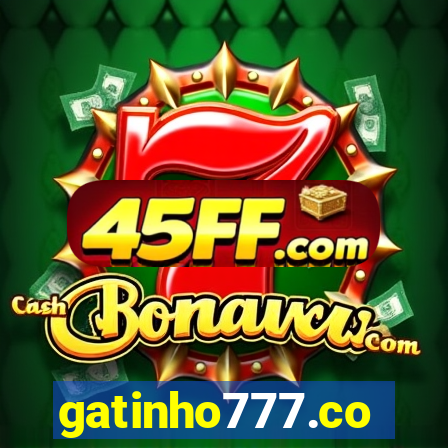 gatinho777.co