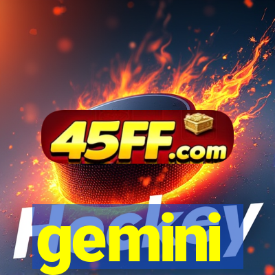 gemini-pp.com