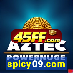 spicy09.com