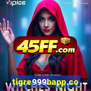 tigre999bapp.com