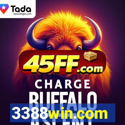 3388win.com