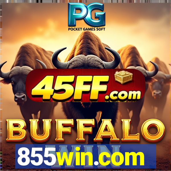 855win.com