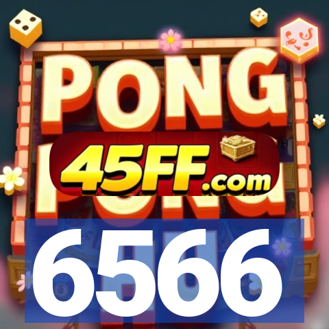 6566